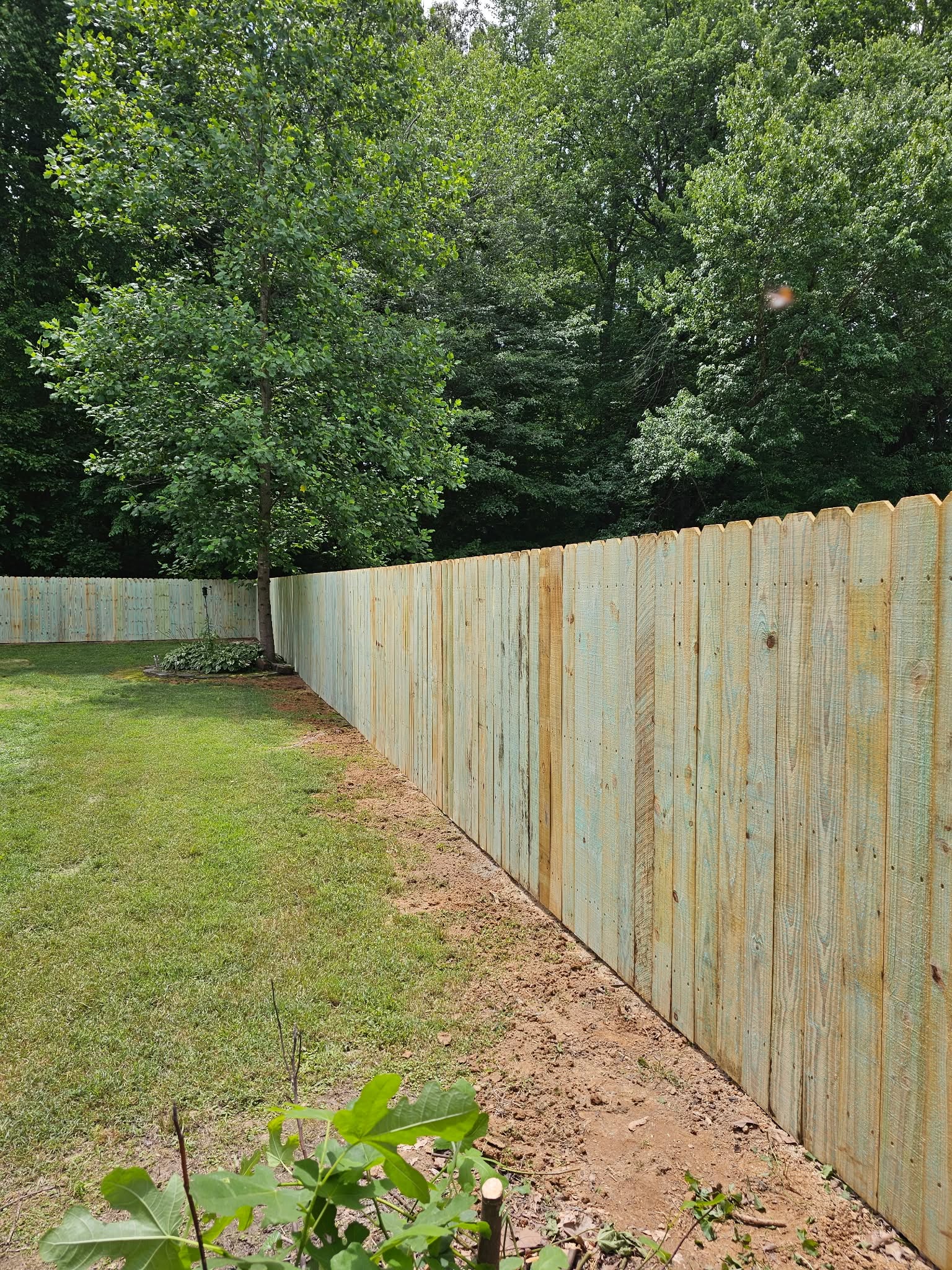 Wood Privacy built by 731 Deck & Fence LLC in Bradford, TN
